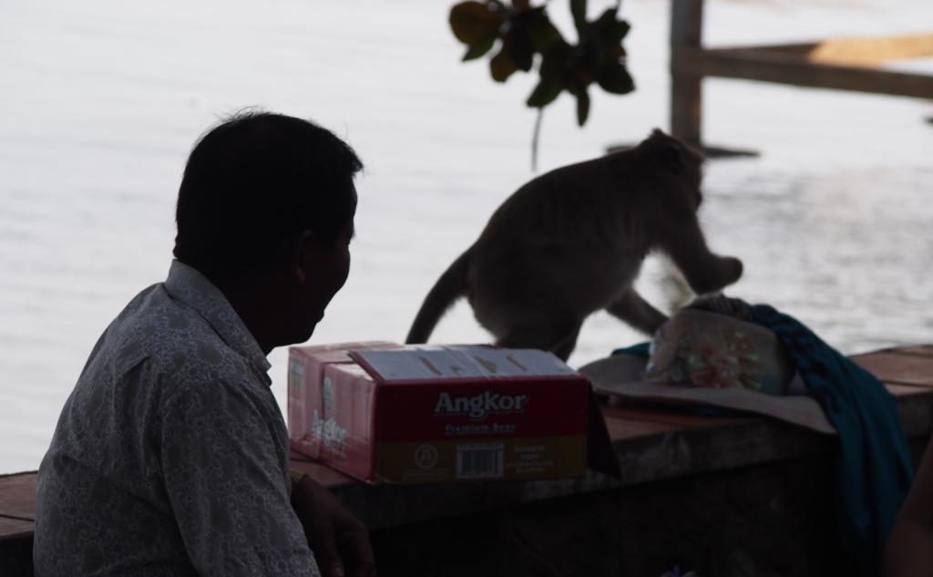 Cheeky macaque...