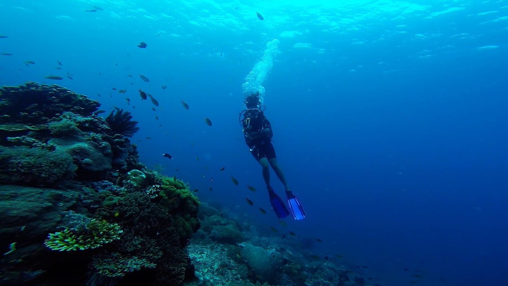 why you should learn to scuba dive