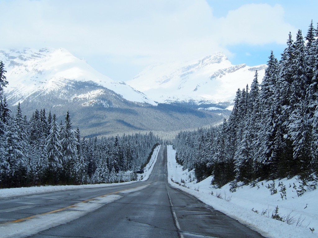 Icefield Parkway