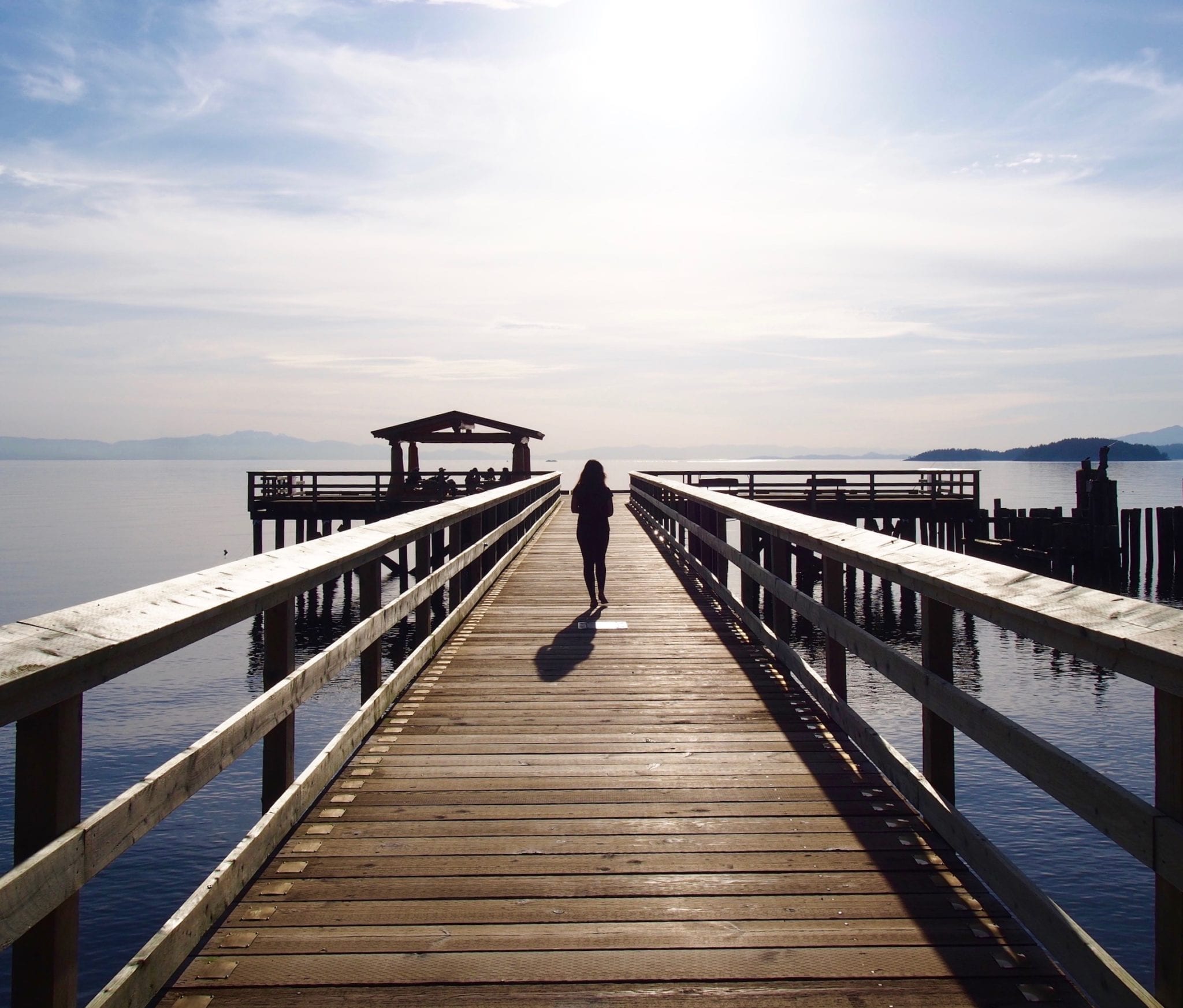 scuba diving on the sunshine coast