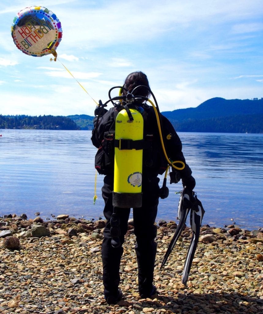 scuba diving on the sunshine coast