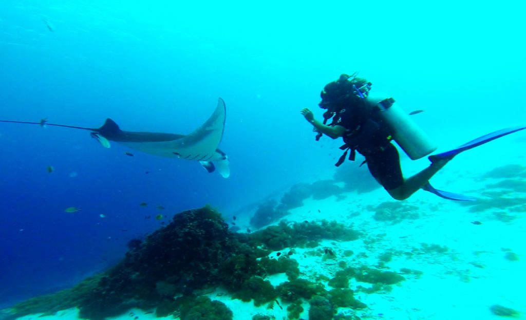 Scuba Diving Tips For Beginners