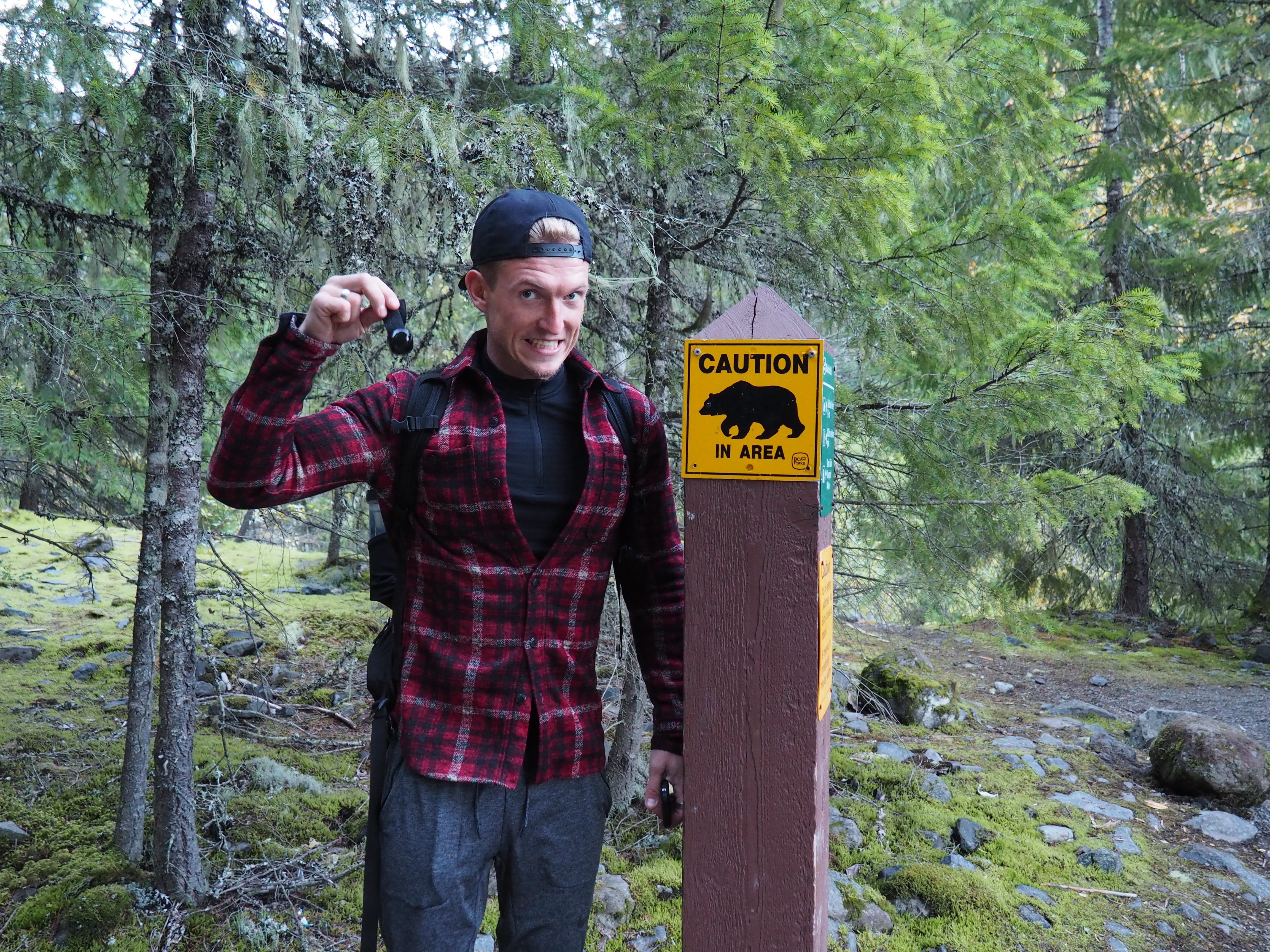Bears At Panorama Ridge Hike