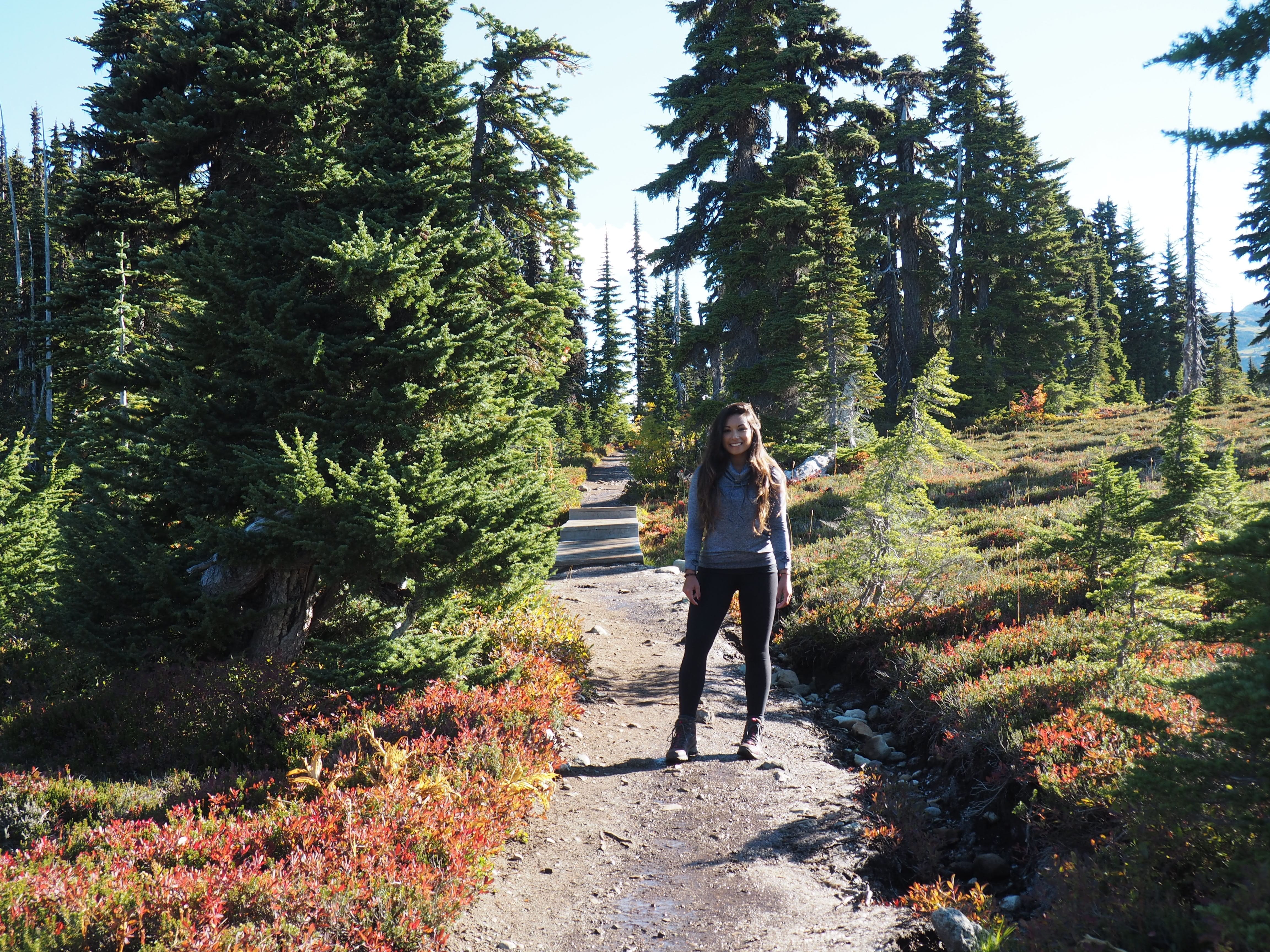 Hiking Panorama Ridge