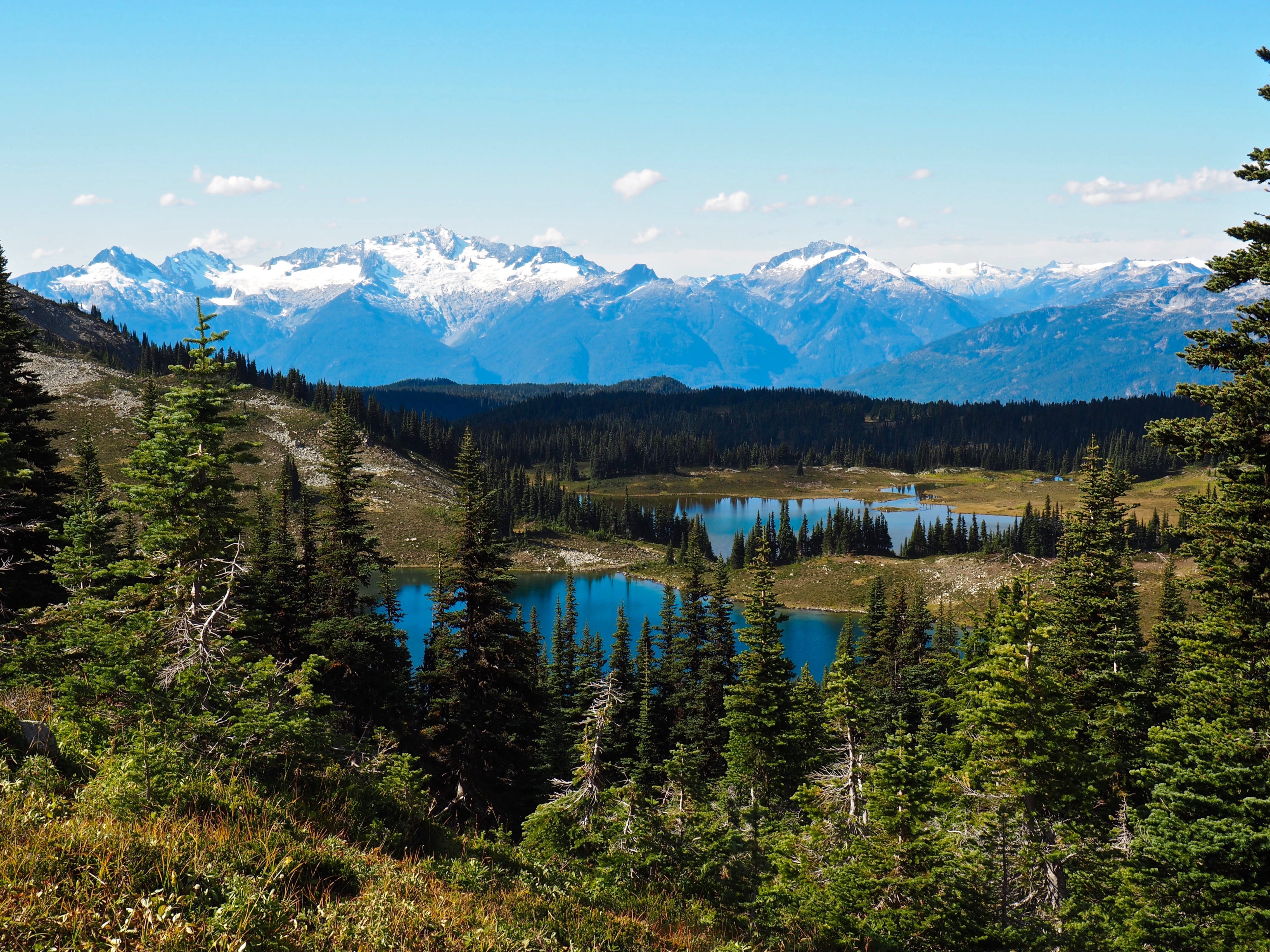 Panorama Ridge Hike