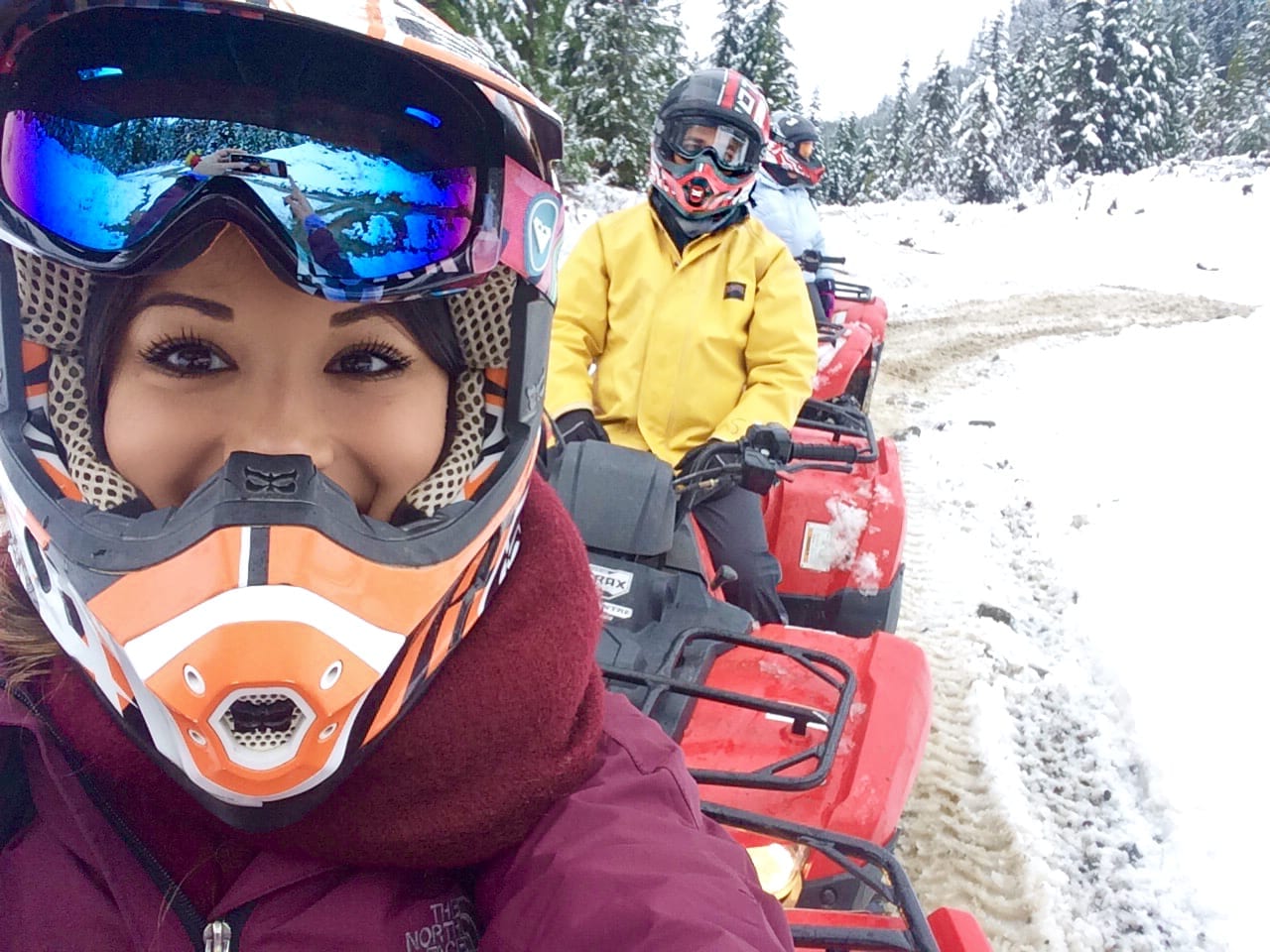 Whistler ATV