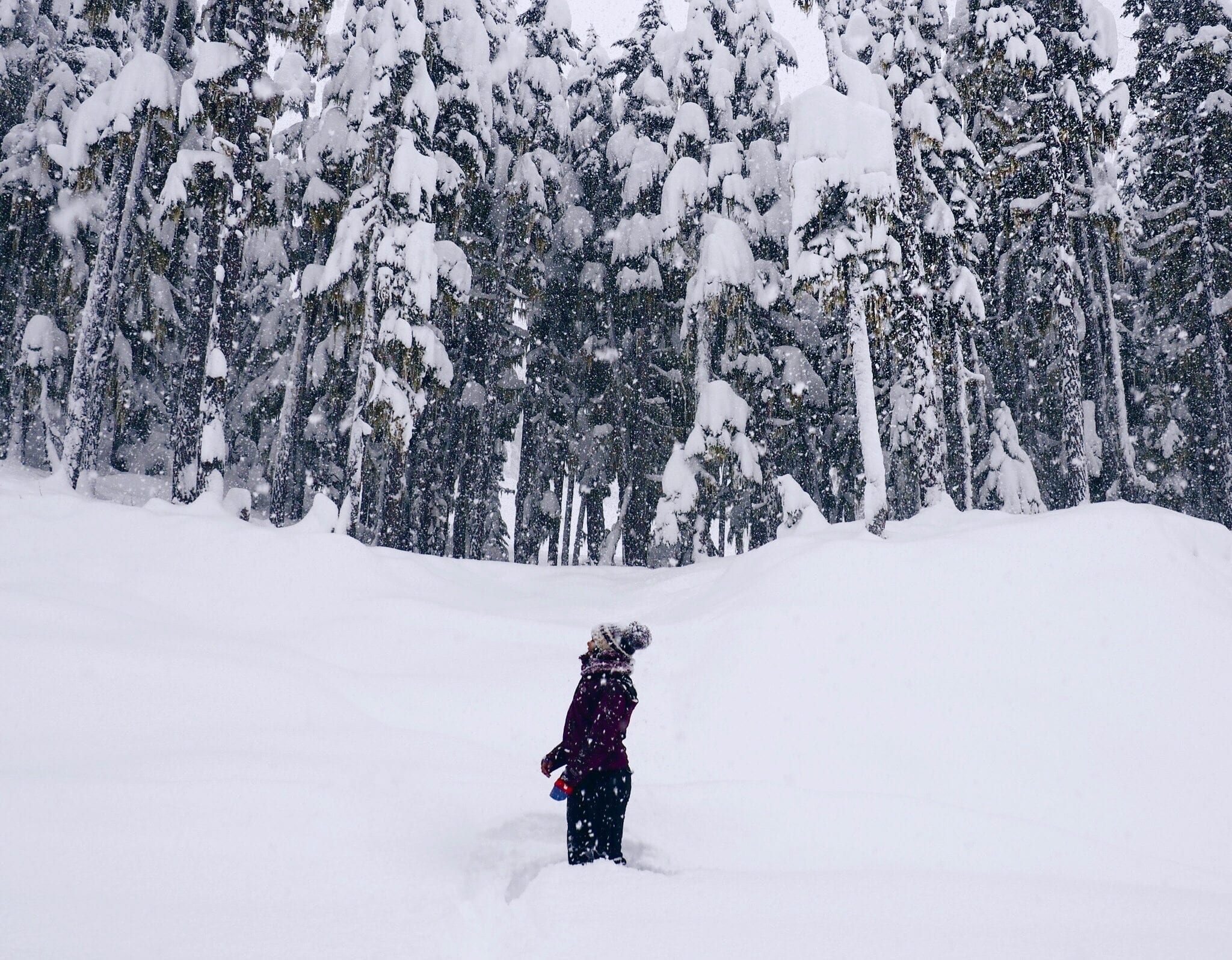 Whistler Places To Visit In Winter