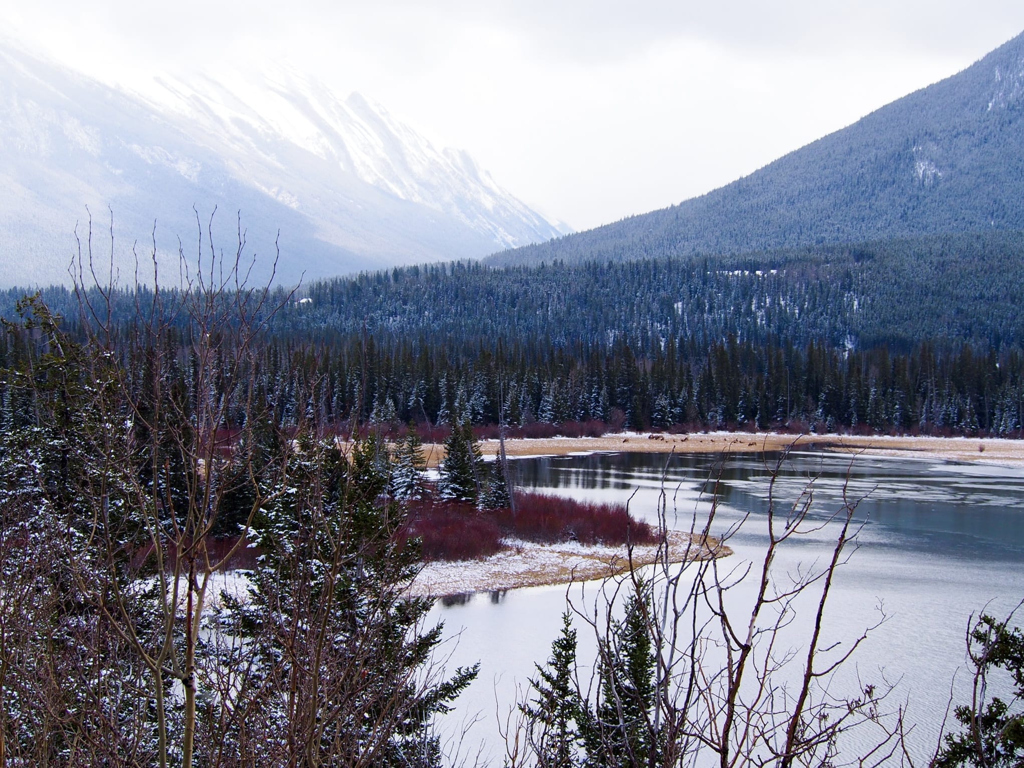 Banff in Spring