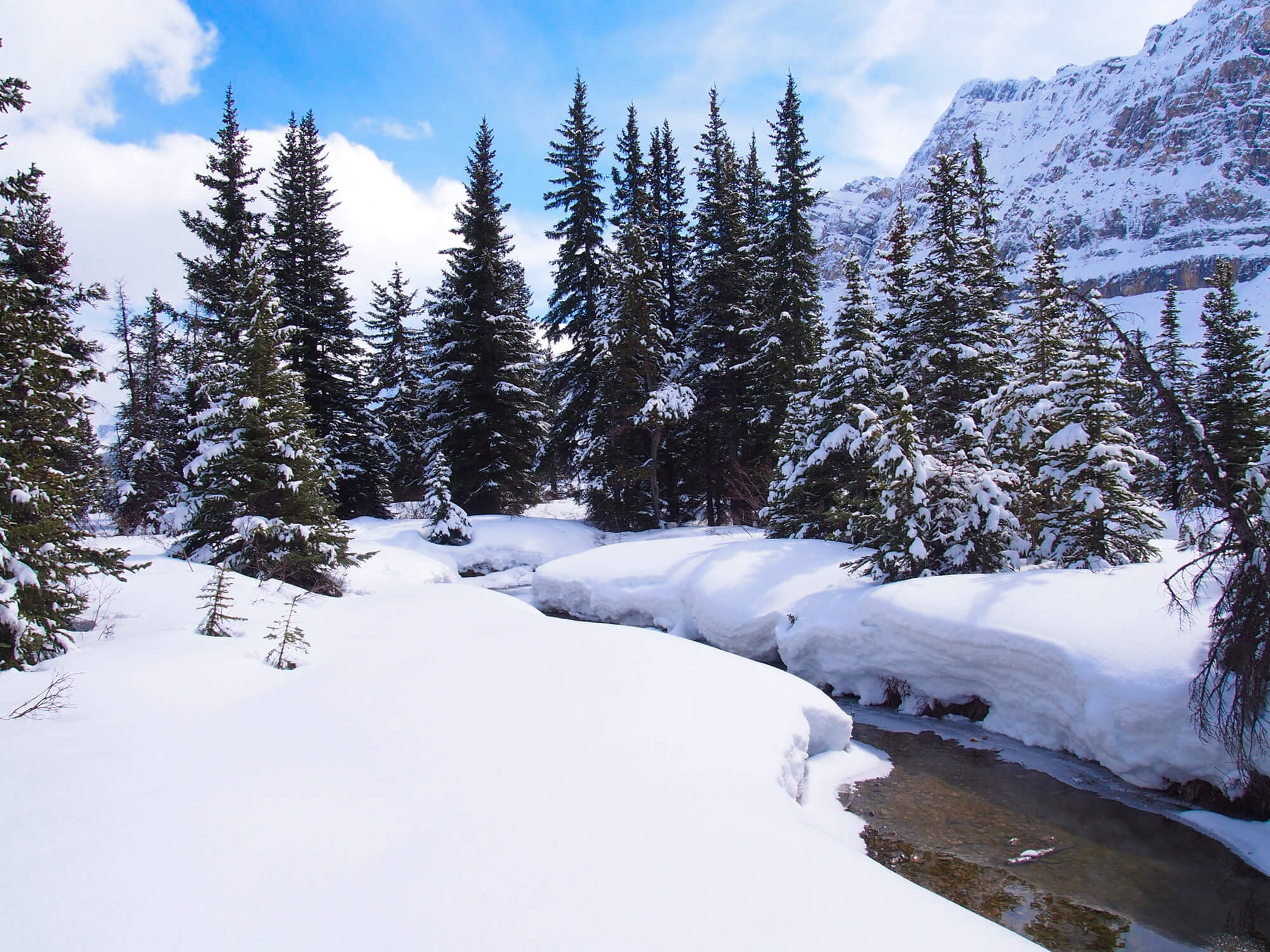 Banff in Spring