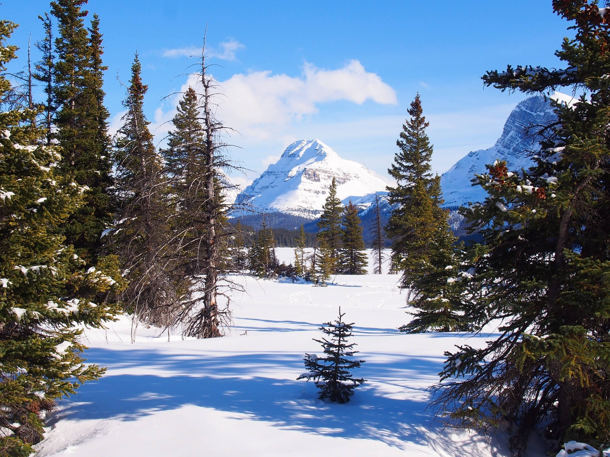 Banff in Spring