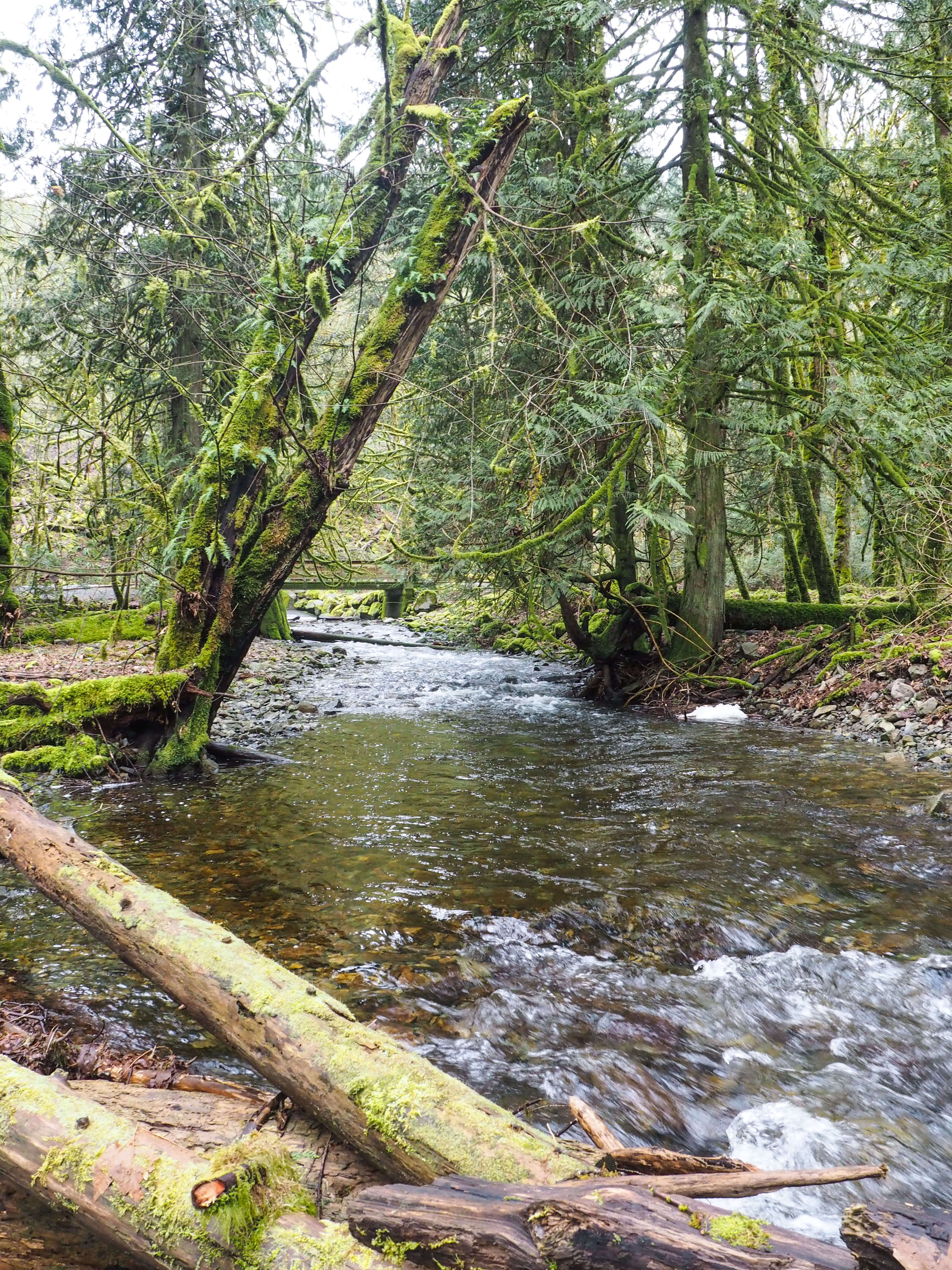 Hiking on Vancouver Island