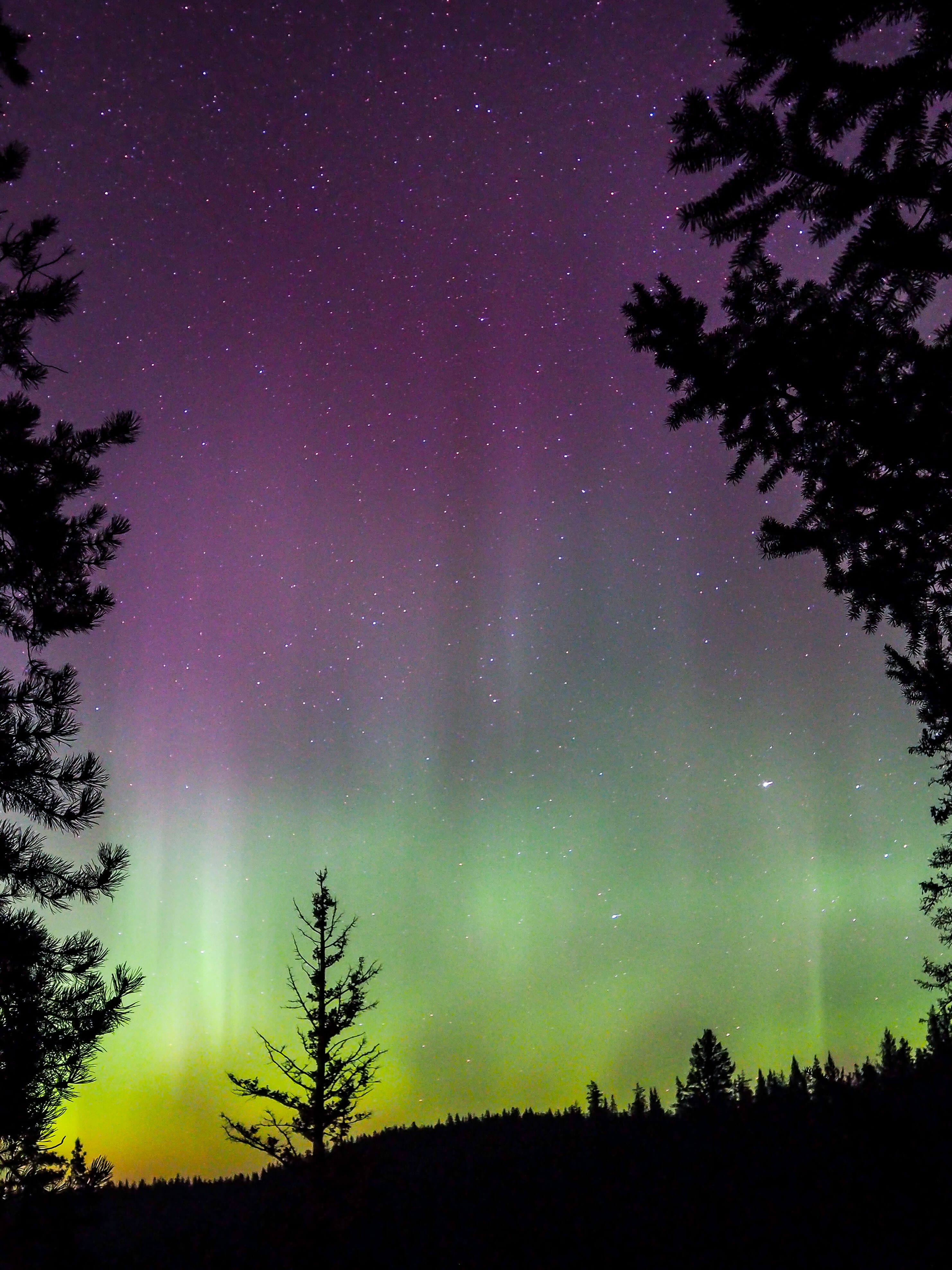 Northern Lights Alberta