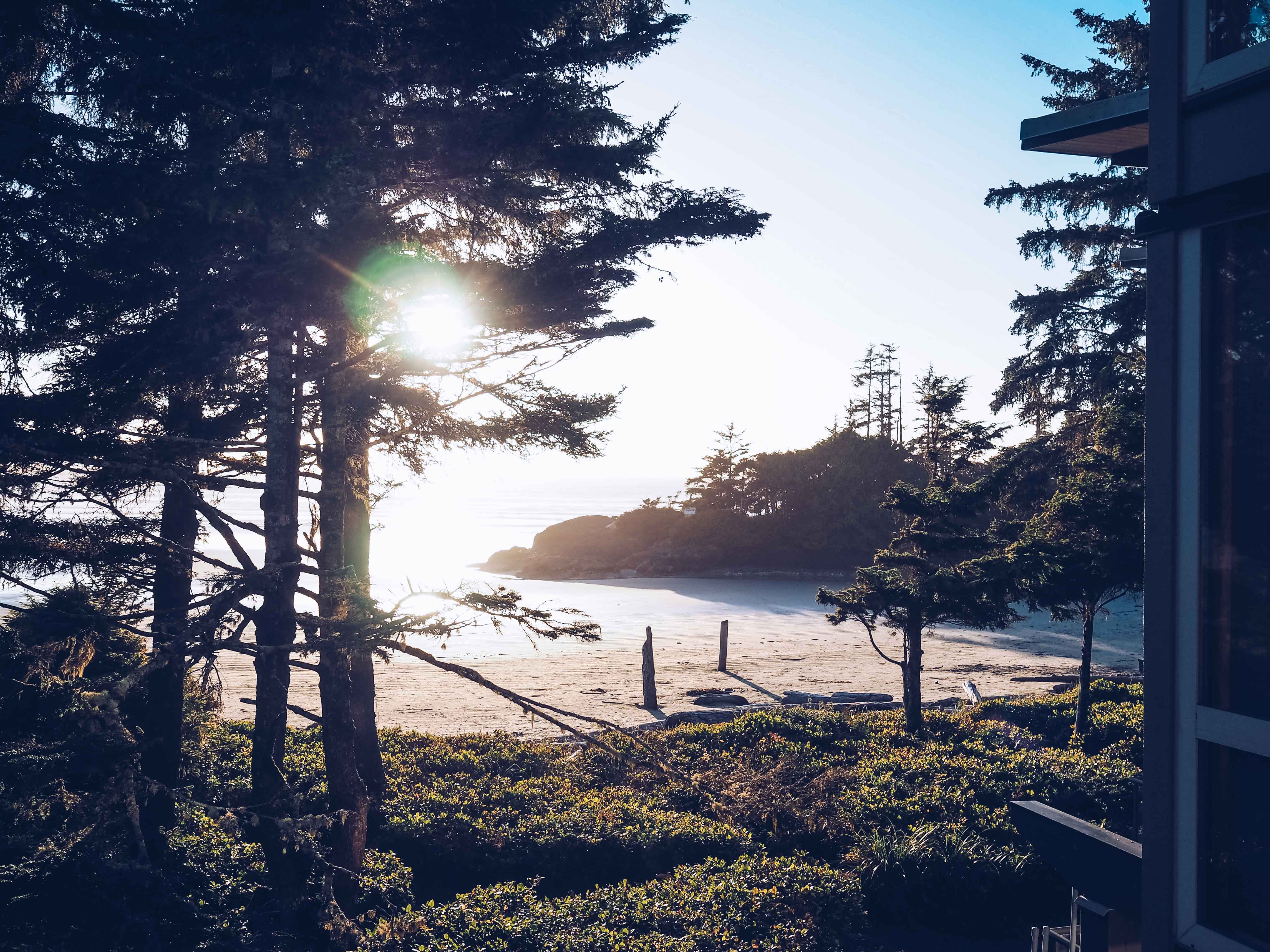 Visiting Tofino In Winter