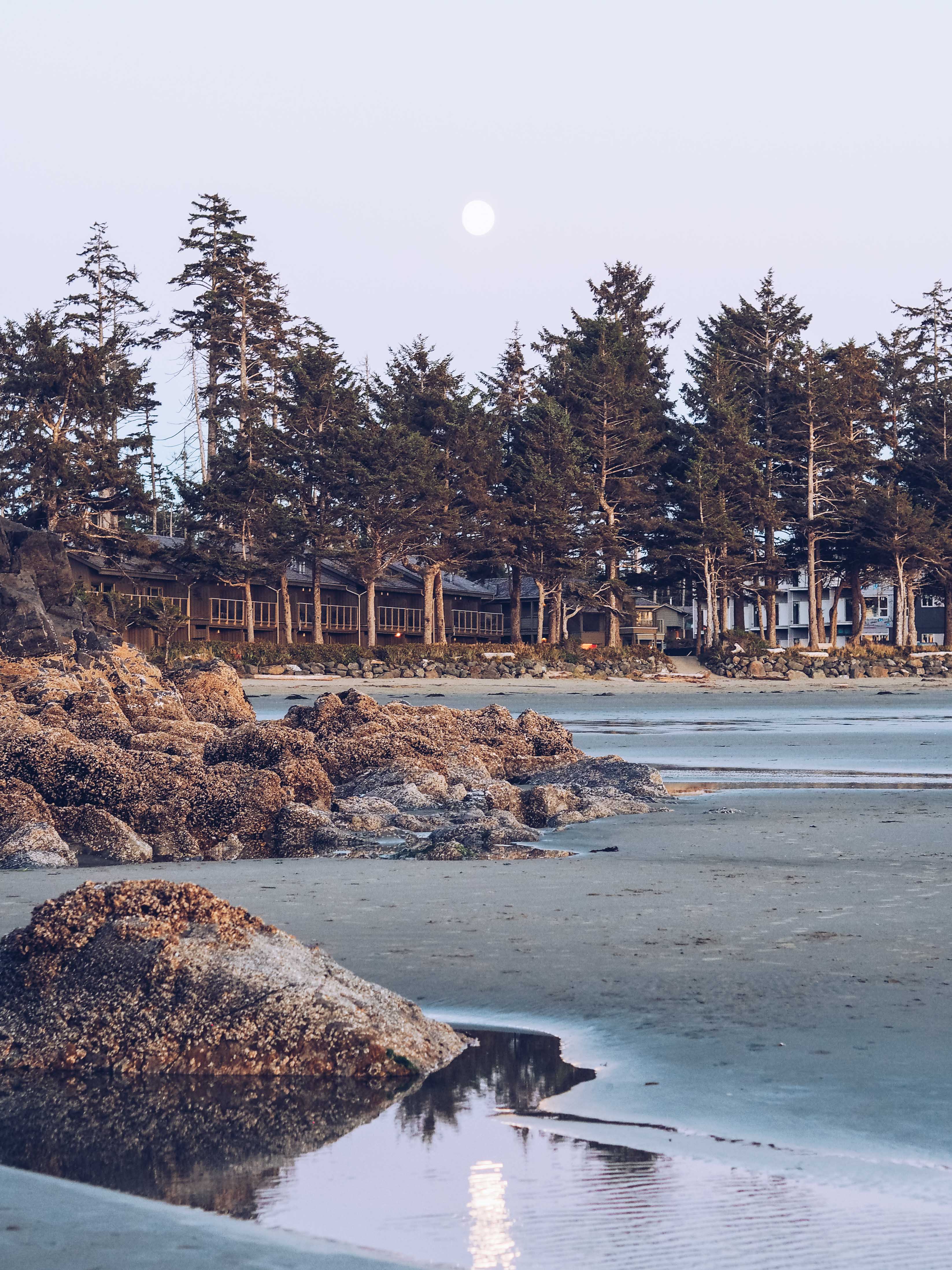 Visiting Tofino In Winter