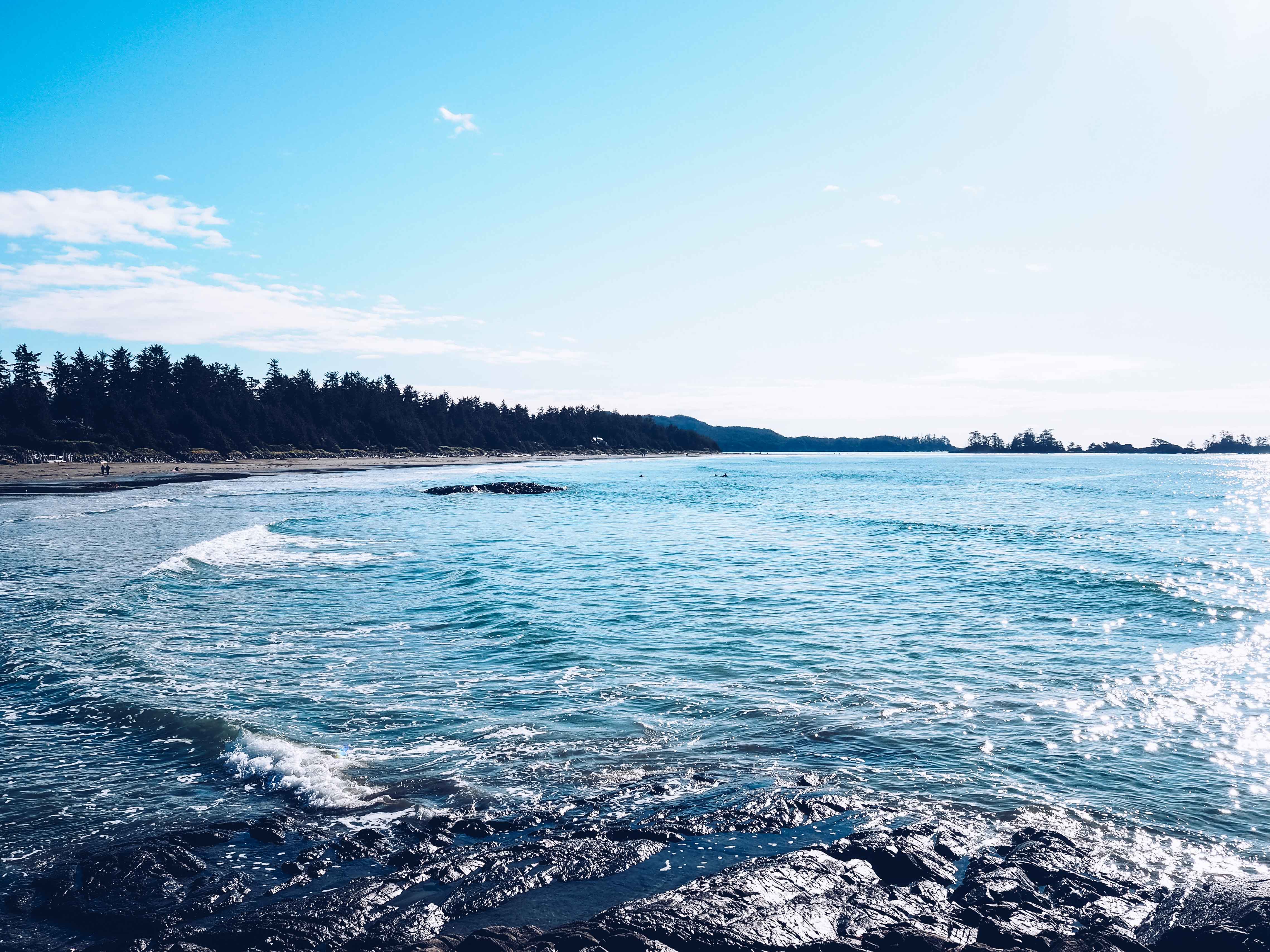 Visiting Tofino In Winter