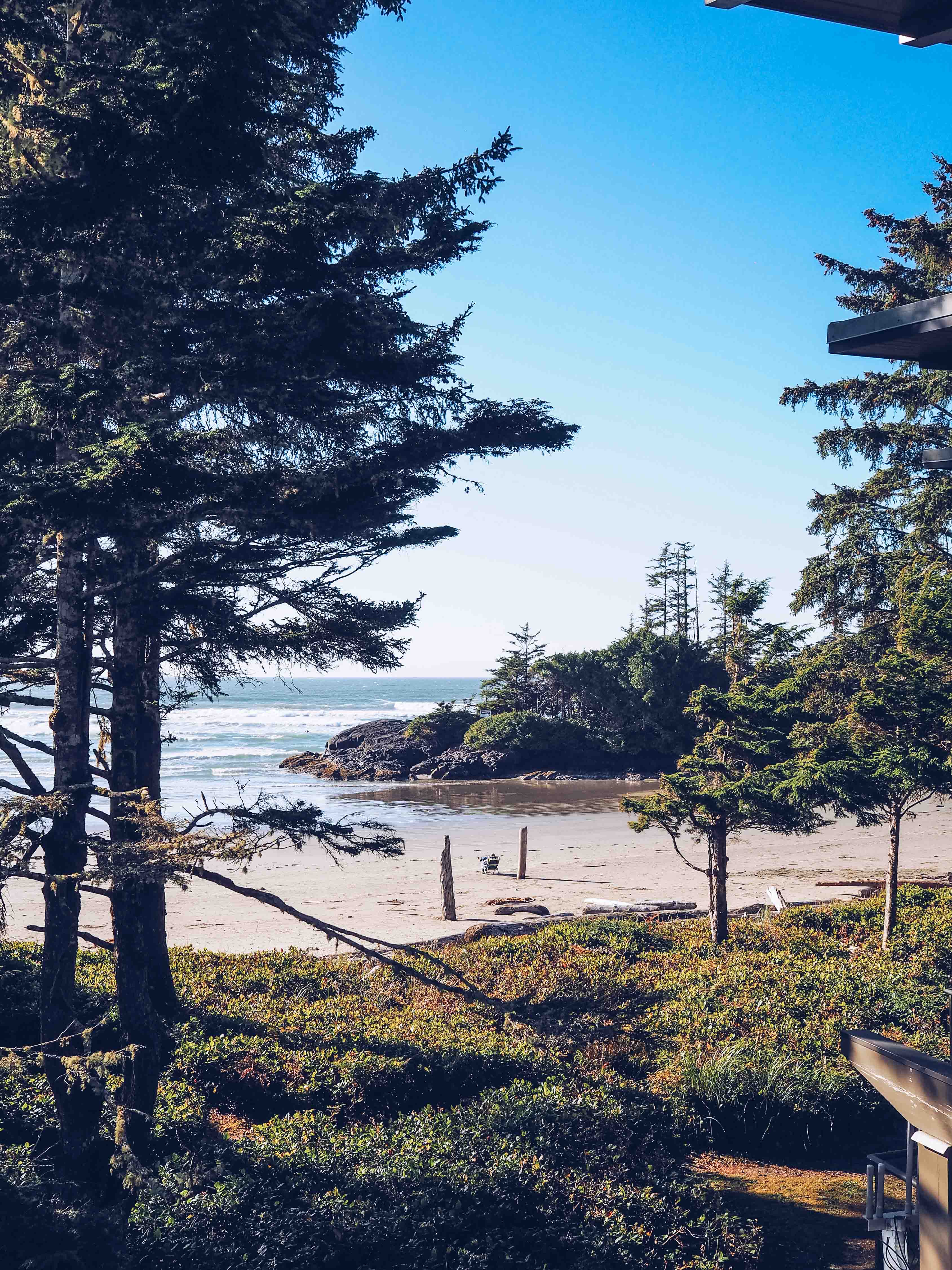 Visiting Tofino In Winter