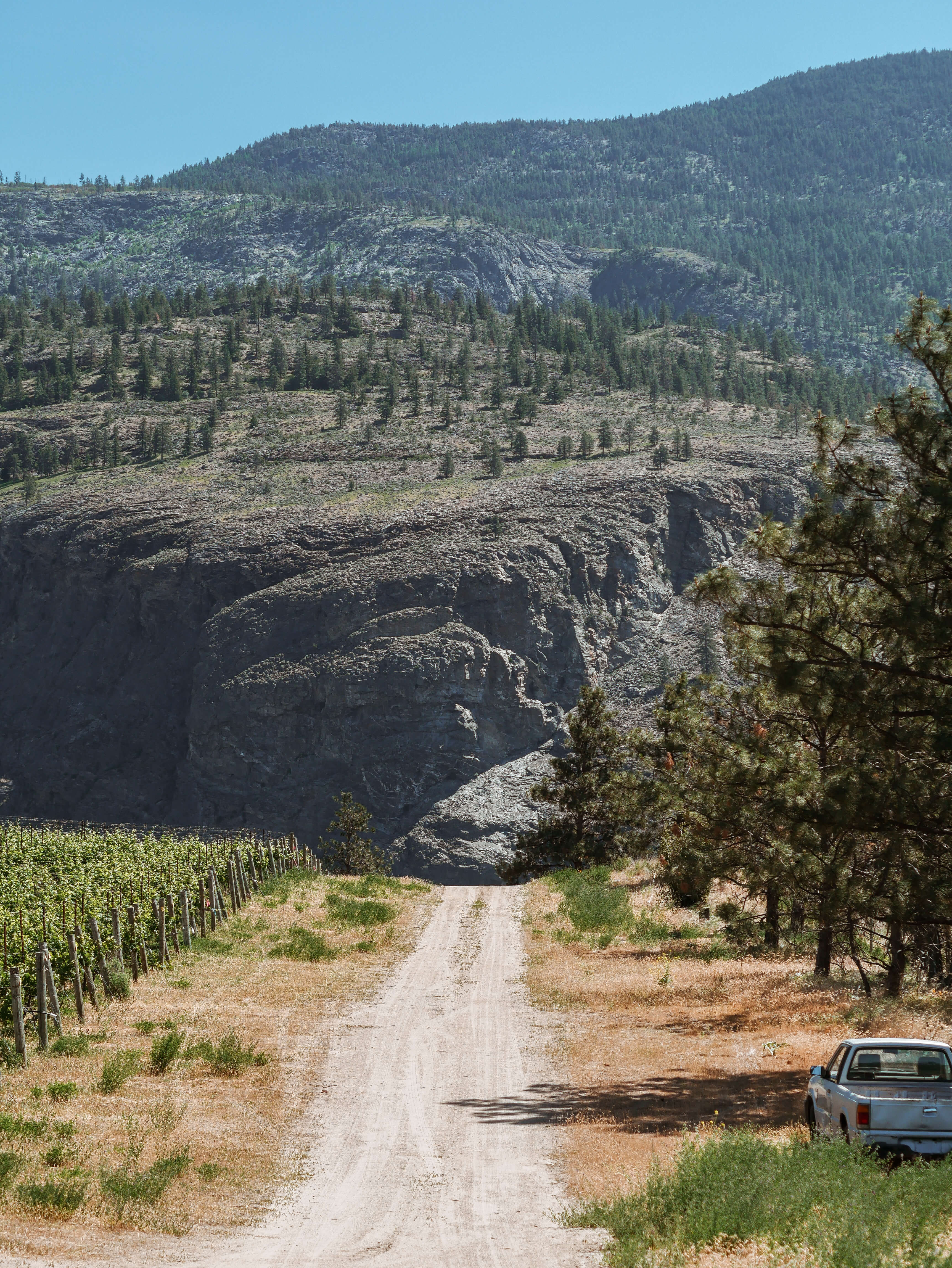 Half Corked Marathon Osoyoos