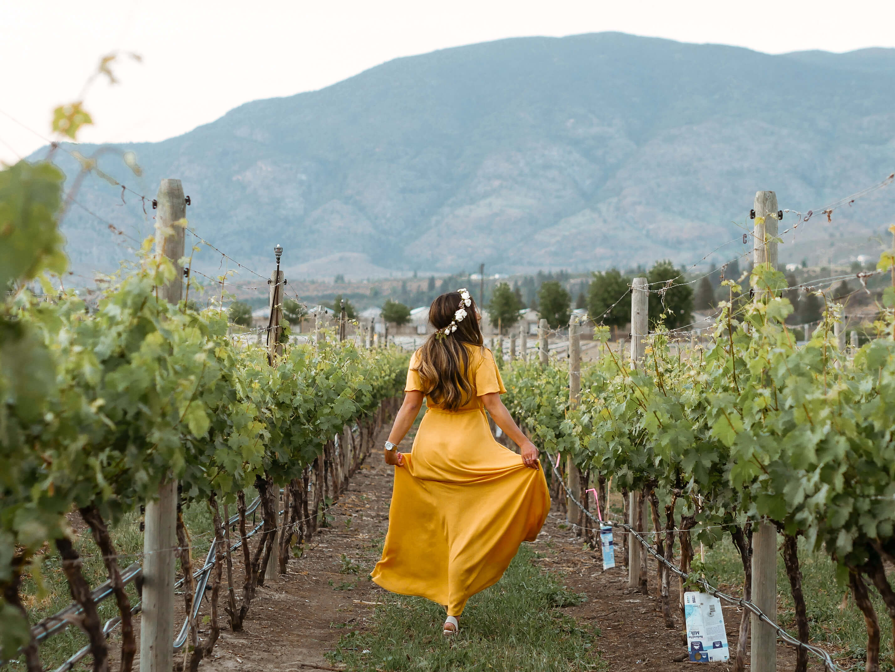 Half Corked Marathon Osoyoos