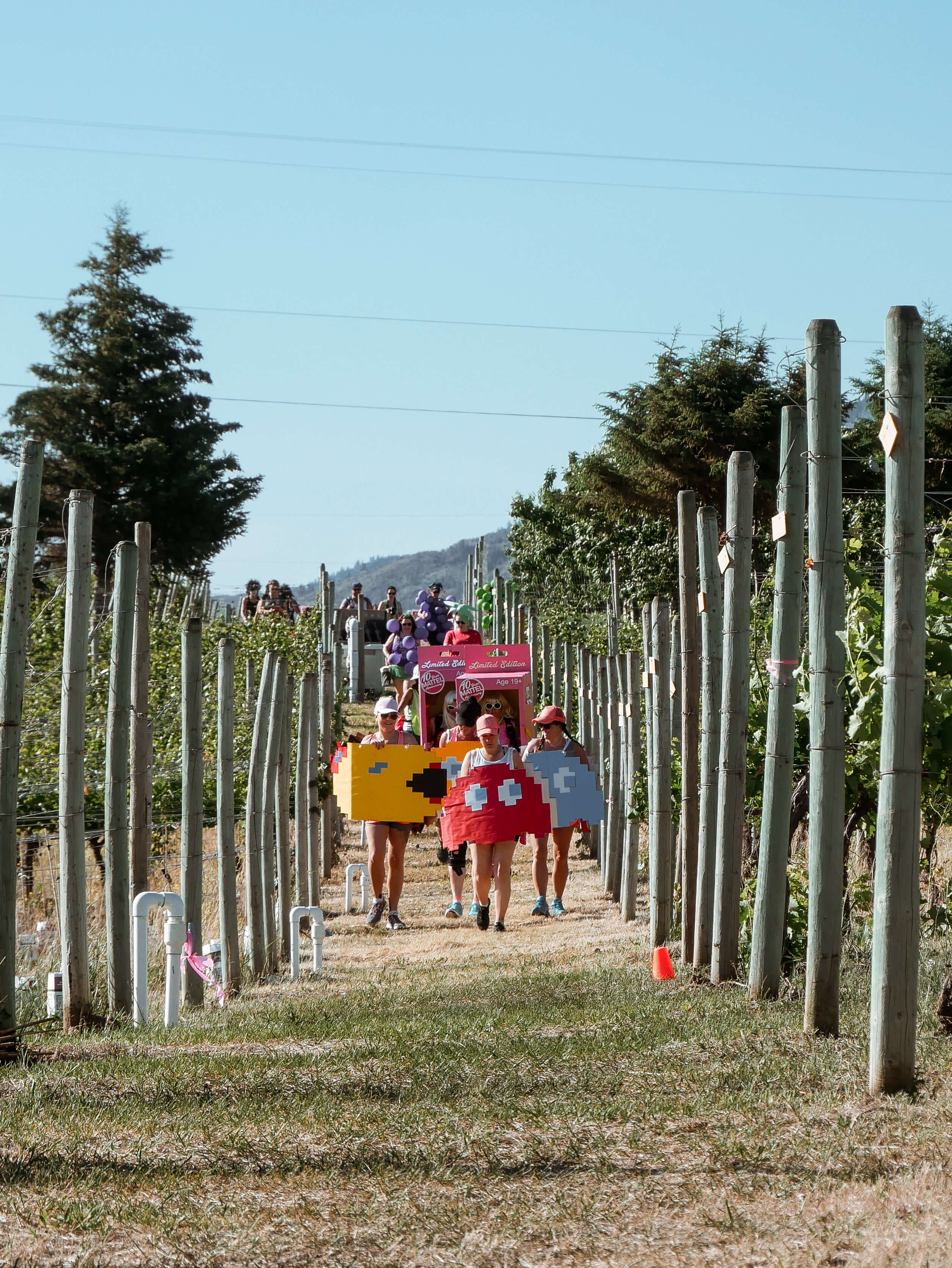 Half Corked Marathon Osoyoos