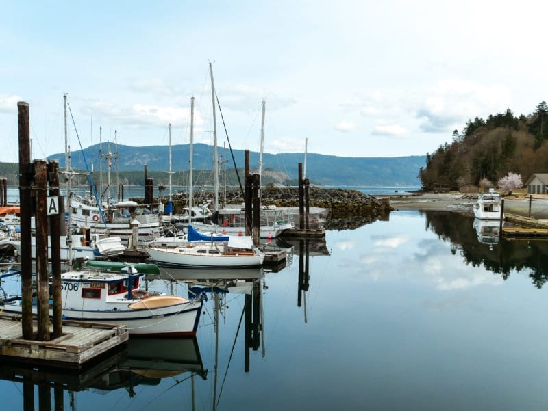 How To Spend 3 Days in Cowichan, Vancouver Island | Go Live Explore