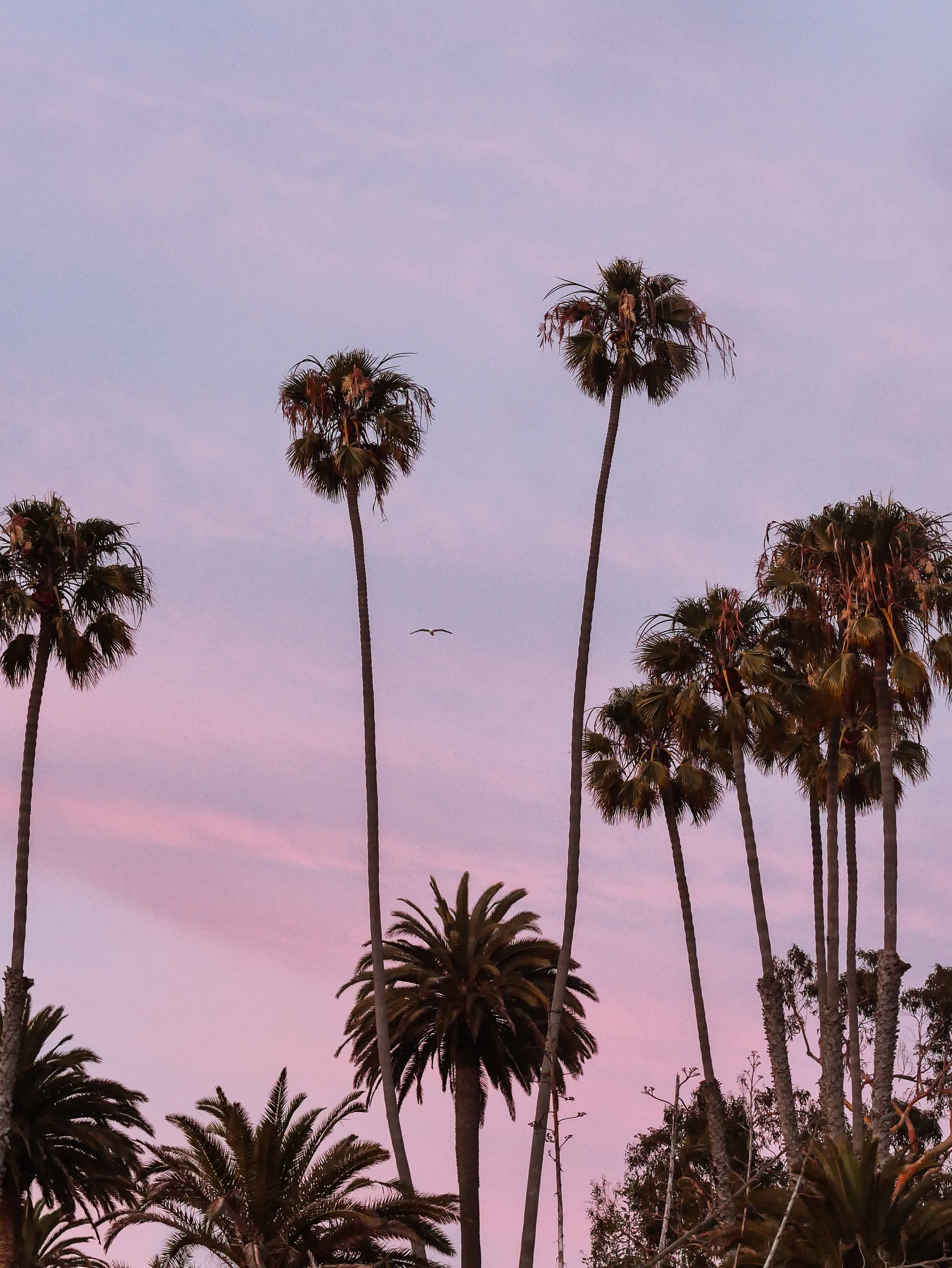 Santa Monica Sunset