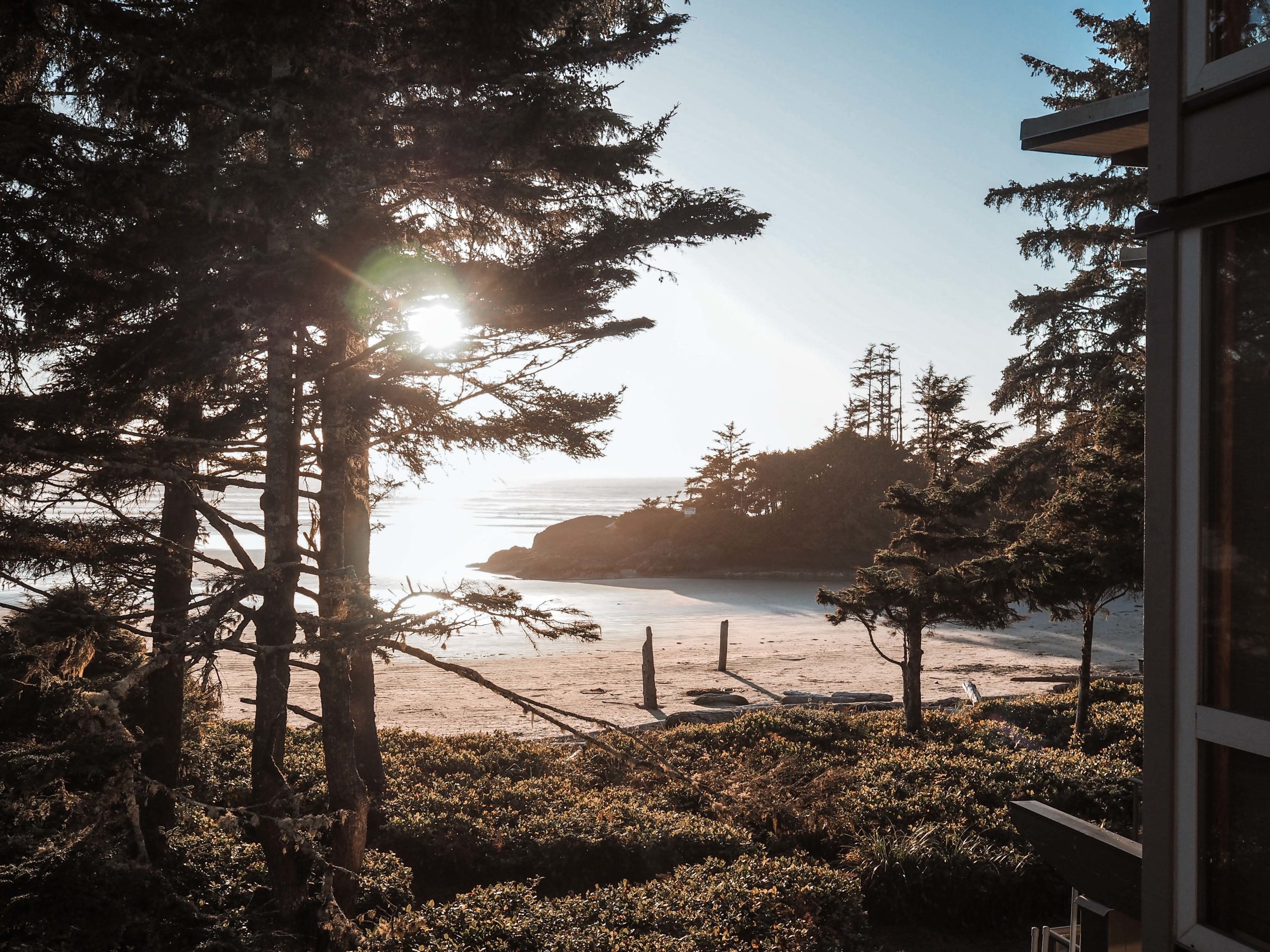 Tofino