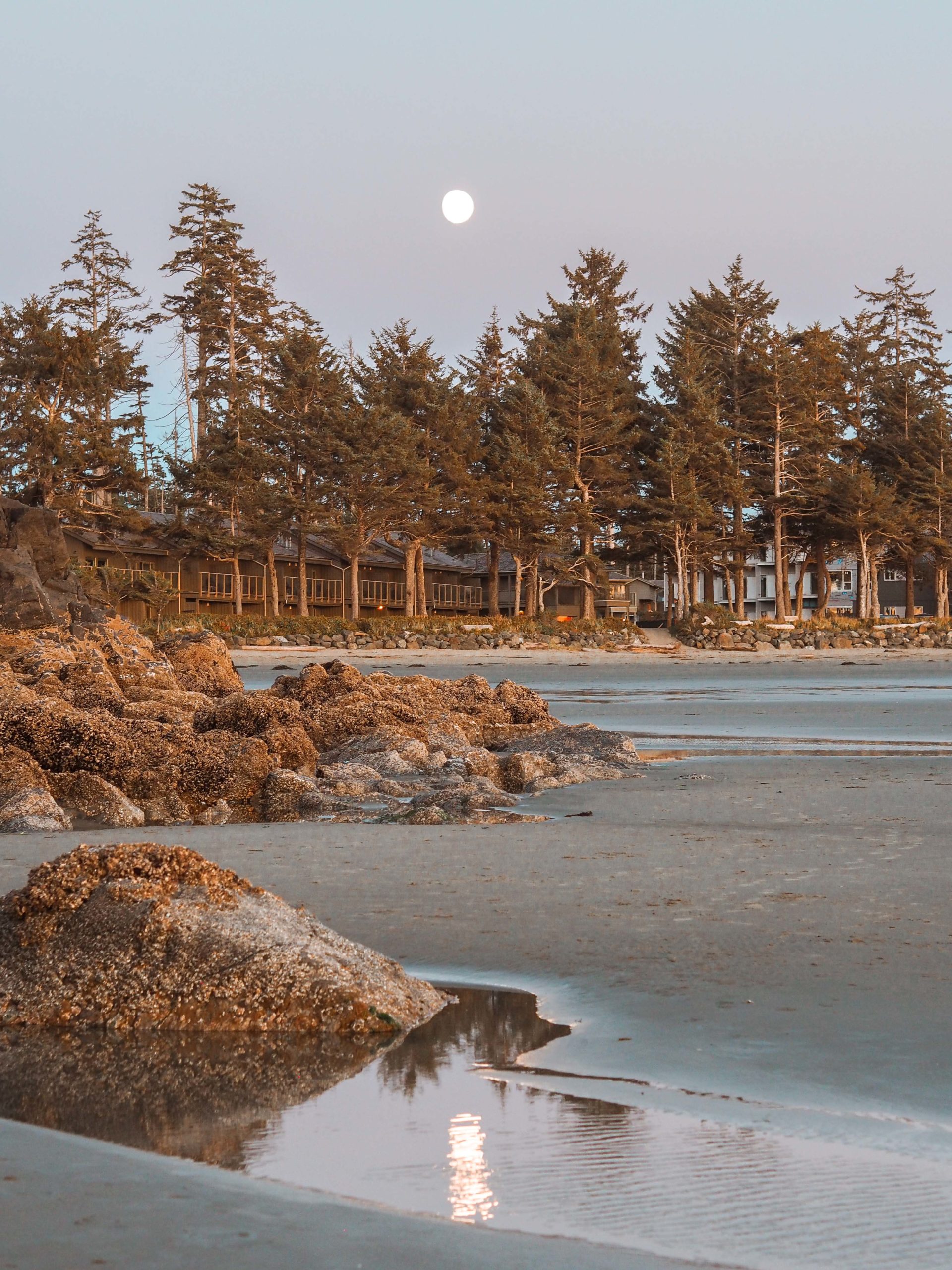 Tofino beaches